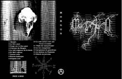 Morgon (FRA) : Trve CD-R Demo